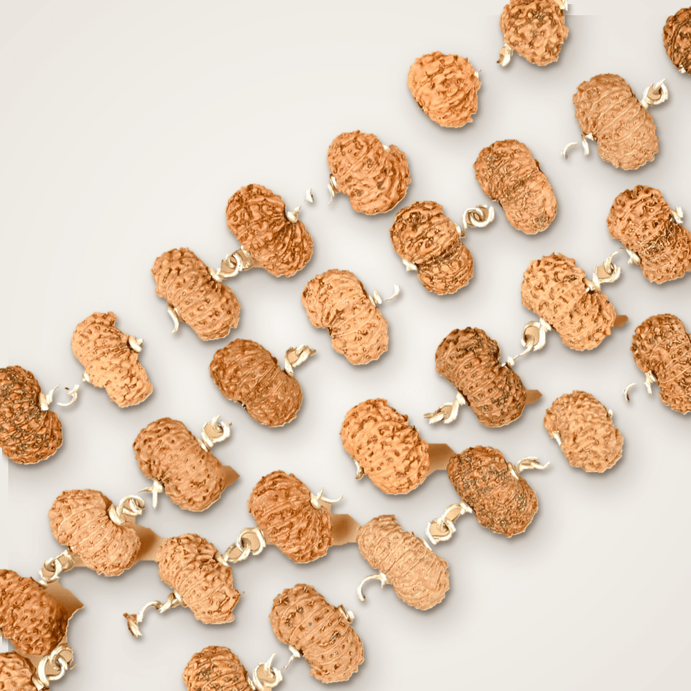 16 Mukhi Rudraksha 925 Silver Wire Mala 12mm