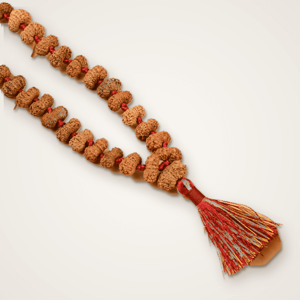 16 Mukhi Rudraksha Mala 14mm