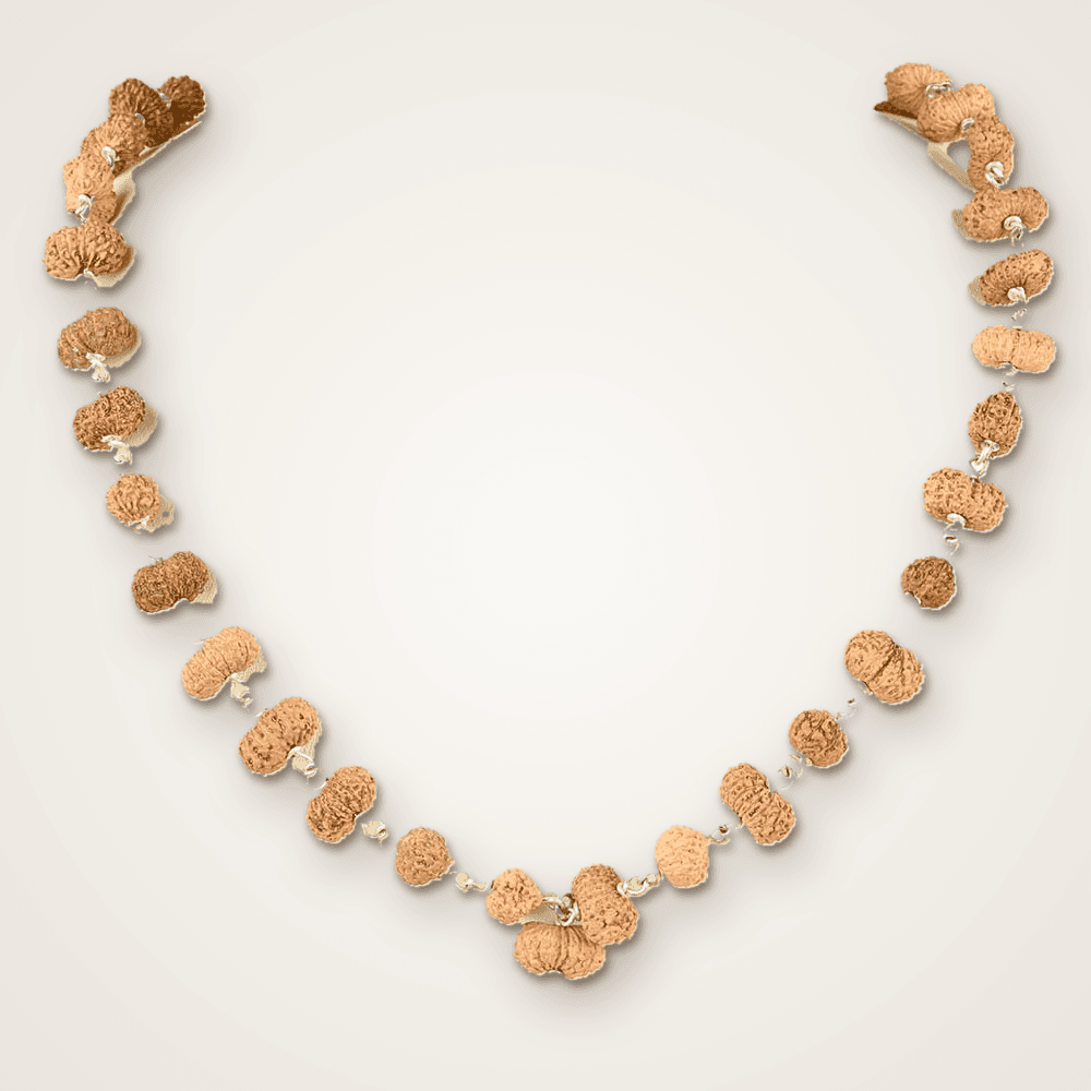 17 Mukhi Rudraksha 925 Silver Plain Caps Mala 14mm