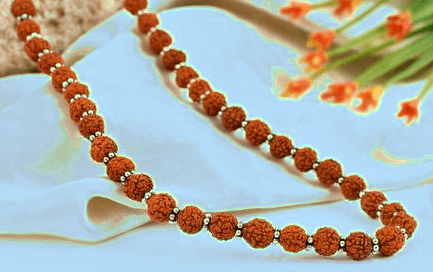Rudraksha Silver Chakri Mala 6mm