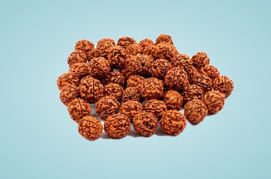 Five Mukhi Loose Beads from Java (15 mm)
