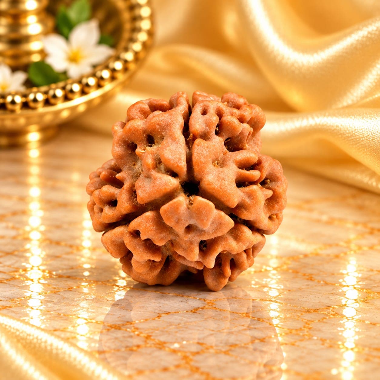 Collector 3 Mukhi from Nepal - 2