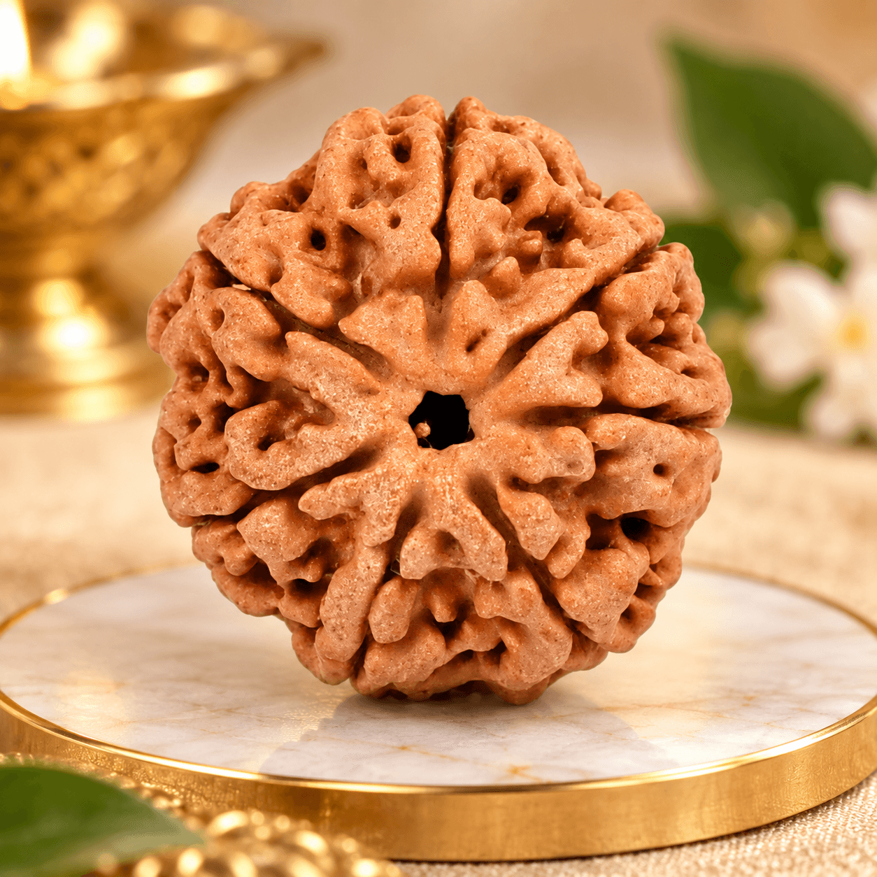 7 Mukhi Nepal Rudraksha Small 18mm